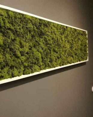 Tablou licheni naturali si stabilizati, licheni decorativi