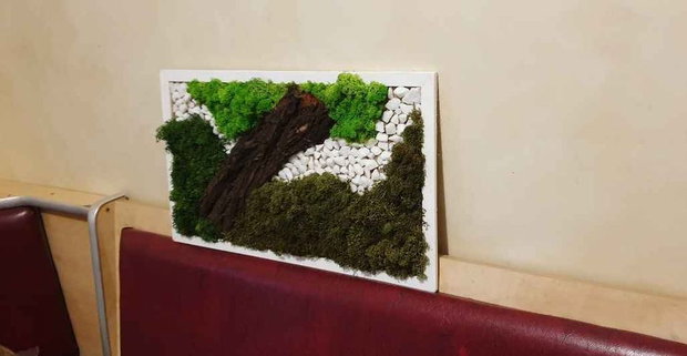 Tablou licheni naturali si stabilizati, licheni decorativi