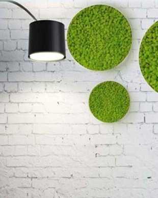 Set tablou licheni naturali si stabilizati, licheni decorativi
