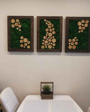 Set tablou licheni naturali si stabilizati, licheni decorativi