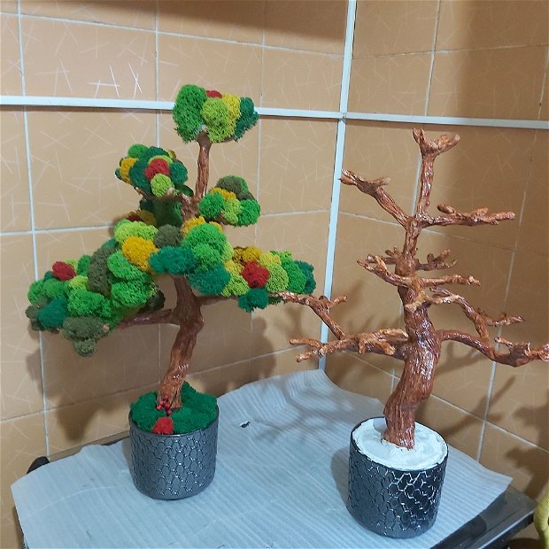Copacel cu licheni _ bonsai