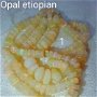 Opal etiopian grad A