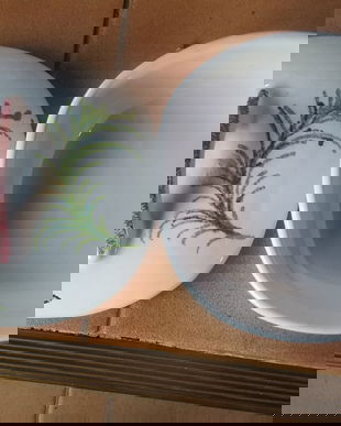 SOSIERA PORTELAN ITALIA PICTATA MANUAL,SEMNATA