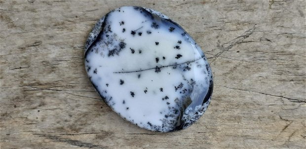Cabochon opal dendritic, 50x38 mm