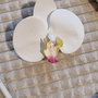 Accesoriu par mireasa