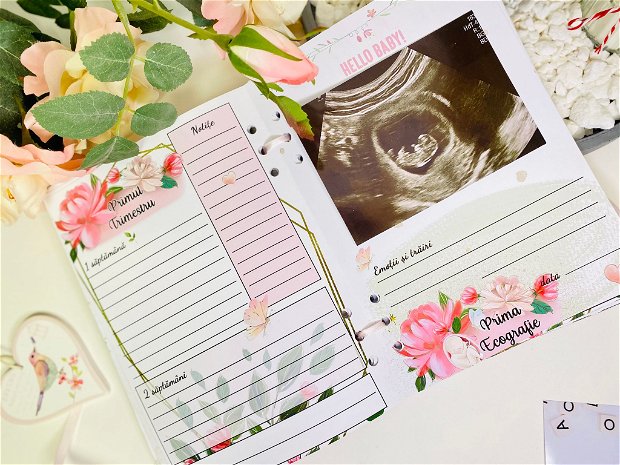 Jurnalul gravidutei - agenda personalizata