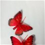 Fluturi decorativi Roșu cu clemă 8 cm,Set 2