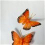 Fluturi decorativi Portocaliu cu clemă 8 cm,Set 2