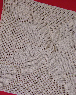 Husa perna decor dantelata