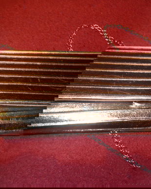 poseta eleganta aurieTamaris