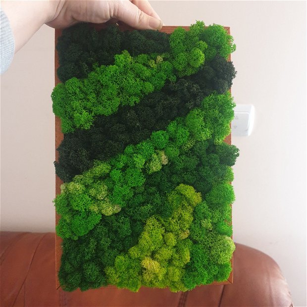 Tablou cu licheni verde