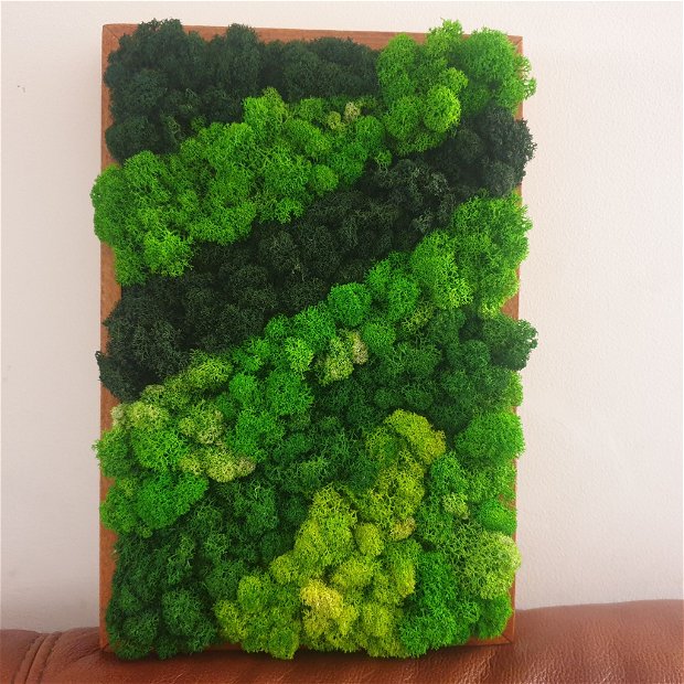 Tablou cu licheni verde