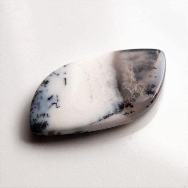 Cabochon opal dendritic -OD5
