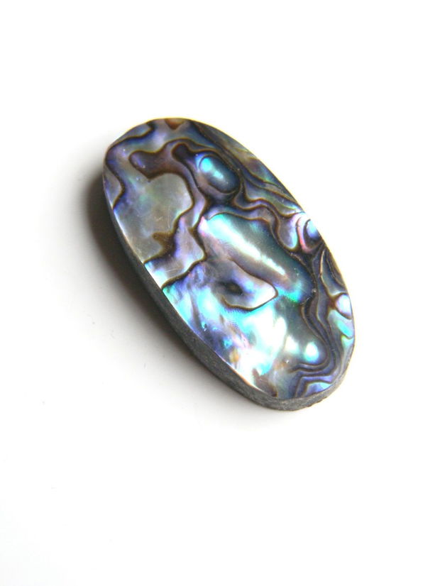 Caboson sidef Paua Shell (C3)