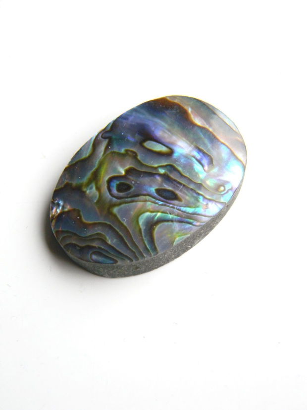 Caboson sidef Paua Shell (C3)