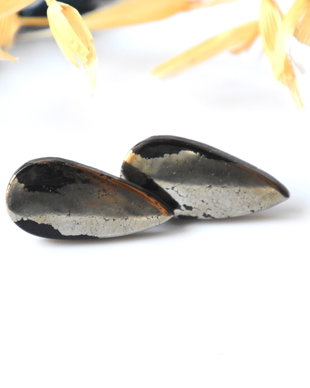Cercei pirita in magnetit