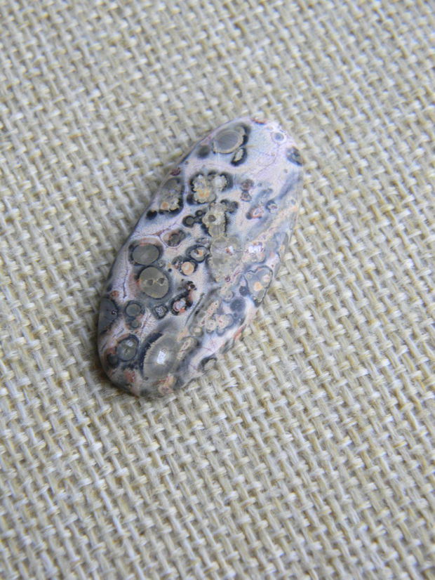 Caboson Leopard Skin Jasper (CPG)