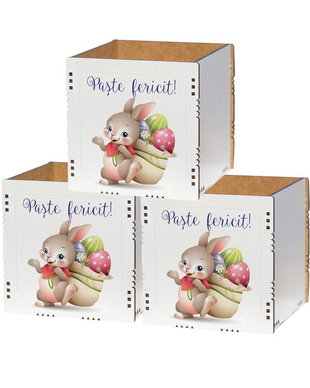 Set 3 cutii decorative cu Iepuras - CFP10032s