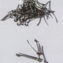 (10 bucati) Ace cu bila din otel inoxidabil aprox 0.7x18 mm