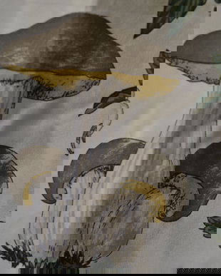 Esarfa matase naturala print ciuperci si elfi /zane