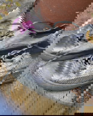 Tenesi DKNY din piele naturala argintie