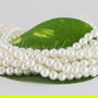 Perle seashell 4/5mm (1sir)