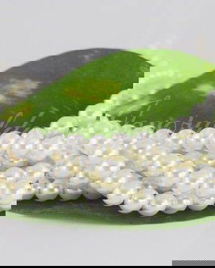 Perle seashell 4/5mm (1sir)