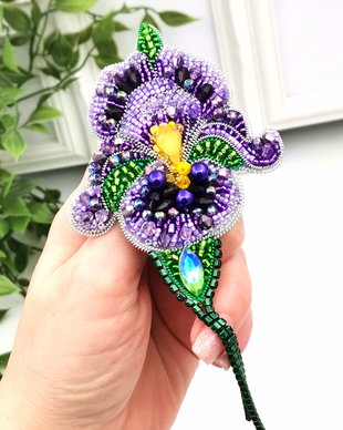 Rezervat Broșa- Floare Iris