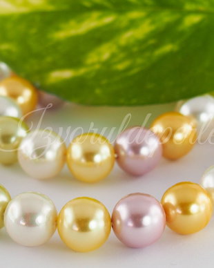 Perle seashell 10mm (1sirag)