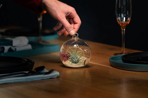 Glob de sticlă, terariu cu plante aeriene