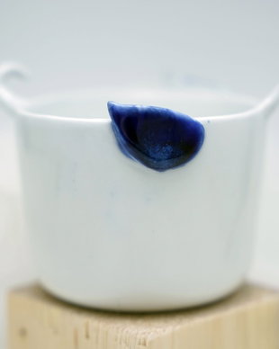 MY BLUE WINGED FRIEND