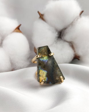 EARTH LIGHT RING