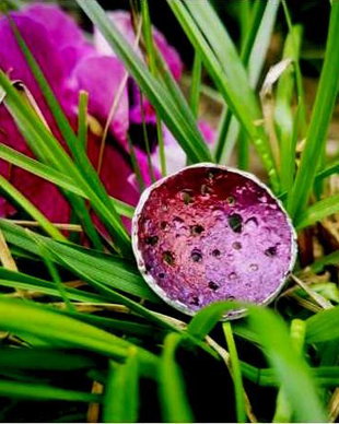 INEL ARGINT "WILD BERRIES"
