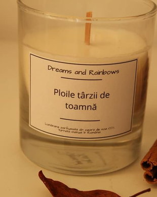 Ploile târzii de toamnă