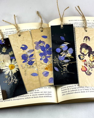 Set 5 semne de carte