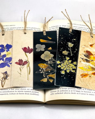 Set 5 Semne de carte
