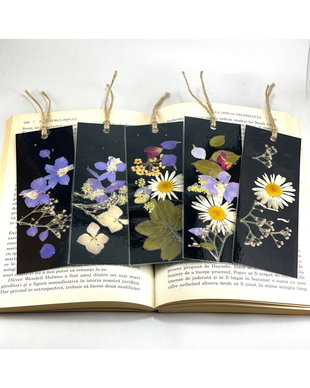 Set 5 Semne de carte