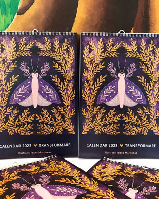 Calendar Transformare