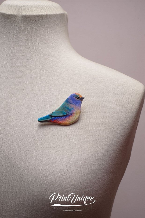 Brosa "Rainbow Bird"