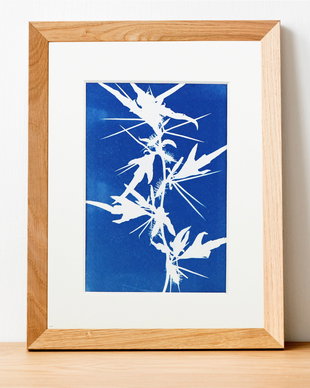 Cyanotype art, Bridge
