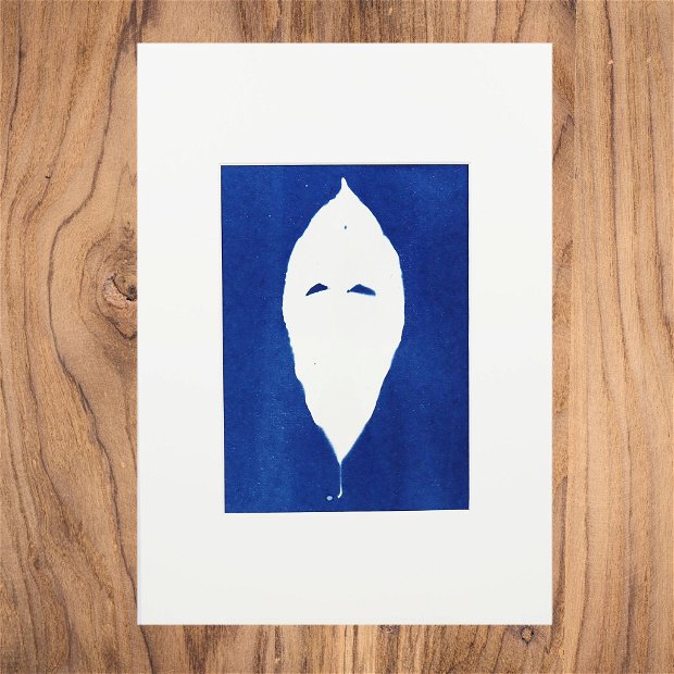 Cyanotype art, No Face