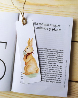 Semn de carte unicat pictat manual