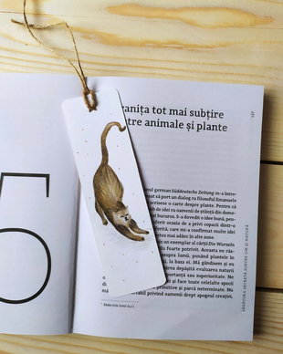Semn de carte unicat pictat manual
