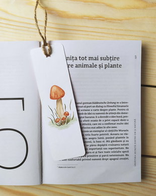 Semn de carte unicat pictat manual
