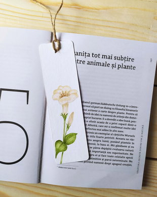 Semn de carte unicat pictat manual