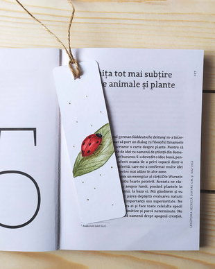 Semn de carte unicat pictat manual