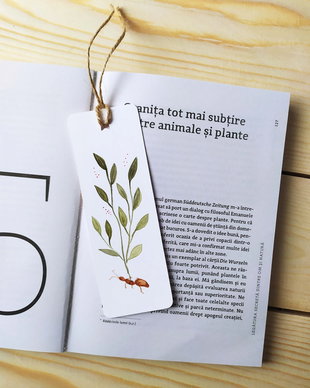 Semn de carte unicat pictat manual