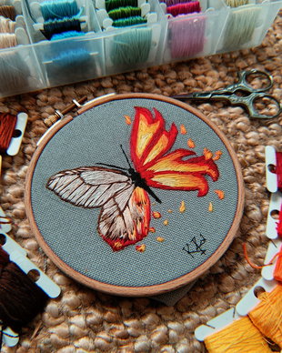 Butterfly