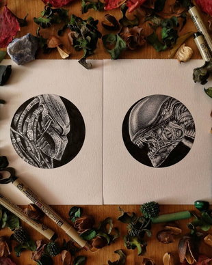 Alien vs. Predator Set