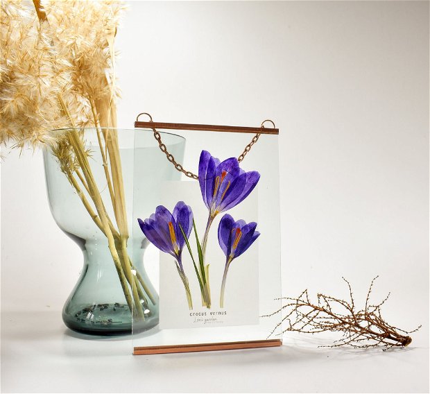 Tablou cu flori reale presate - crocus